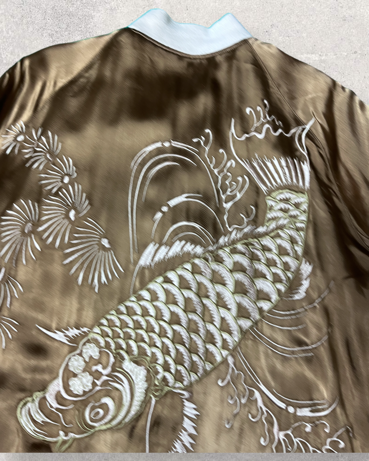 Reversible carp, austere skajan. | spring | Vintage