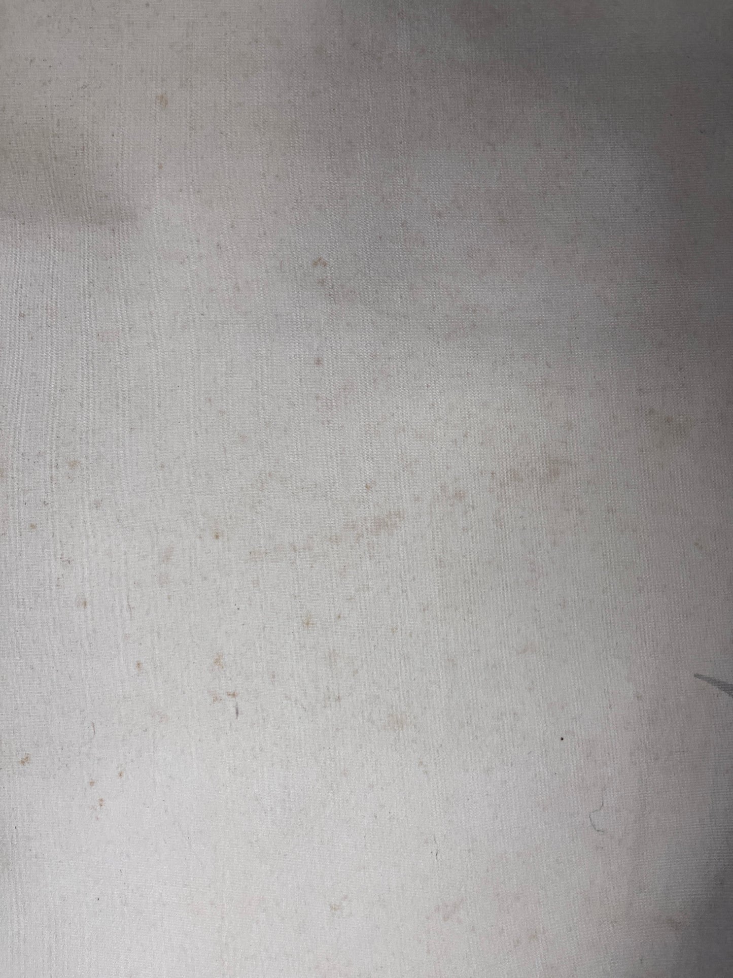 π₯ Roar of the Mighty Tigers β A Symbol of Power and Prestige π₯