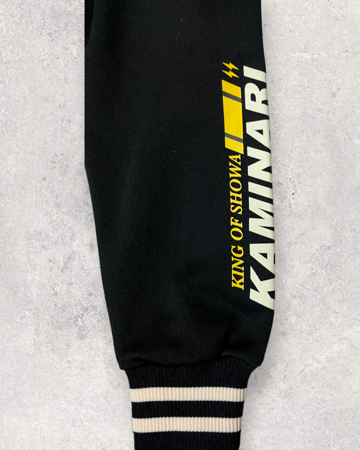 TED COMAPNY - KAMINARI MOTROS jacket  | spring | New